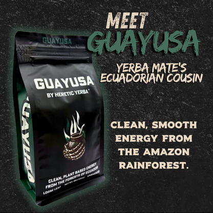 Guayusa