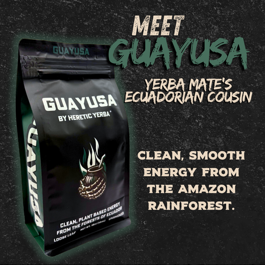 Guayusa